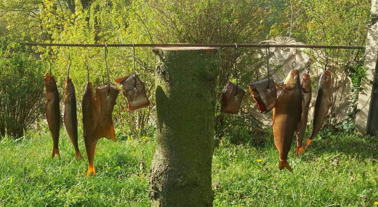 Nadmorskie Slonce Lubin  Bagian luar foto